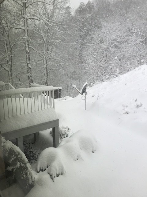 IMG_4664.jpeg.795331f247e68b4cda02d41de0851112.jpeg